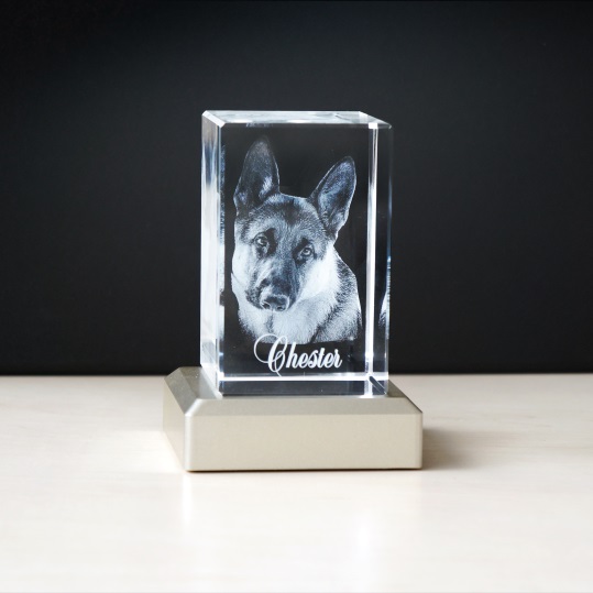 Stiklinis atminimo gaminys su individualiai įgraviruotu šuns Chester portretu, padedantys įamžinti brangius gyvūno atsiminimą.