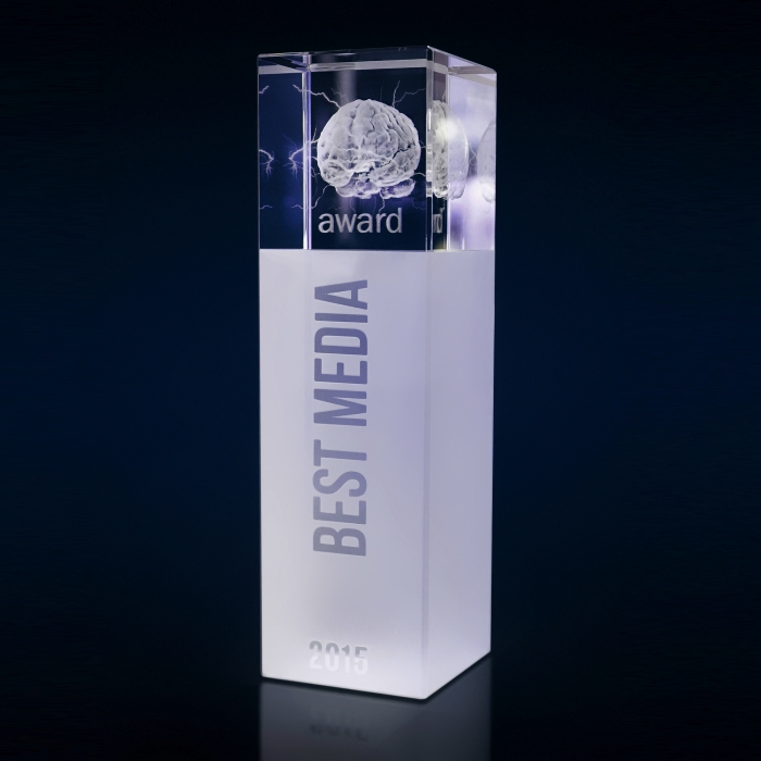Individualus stiklo apdovanojimas su matiniu pagrindu ir 3D graviruotomis smegenimis, skirtas 'Best Media Award' 2015.
